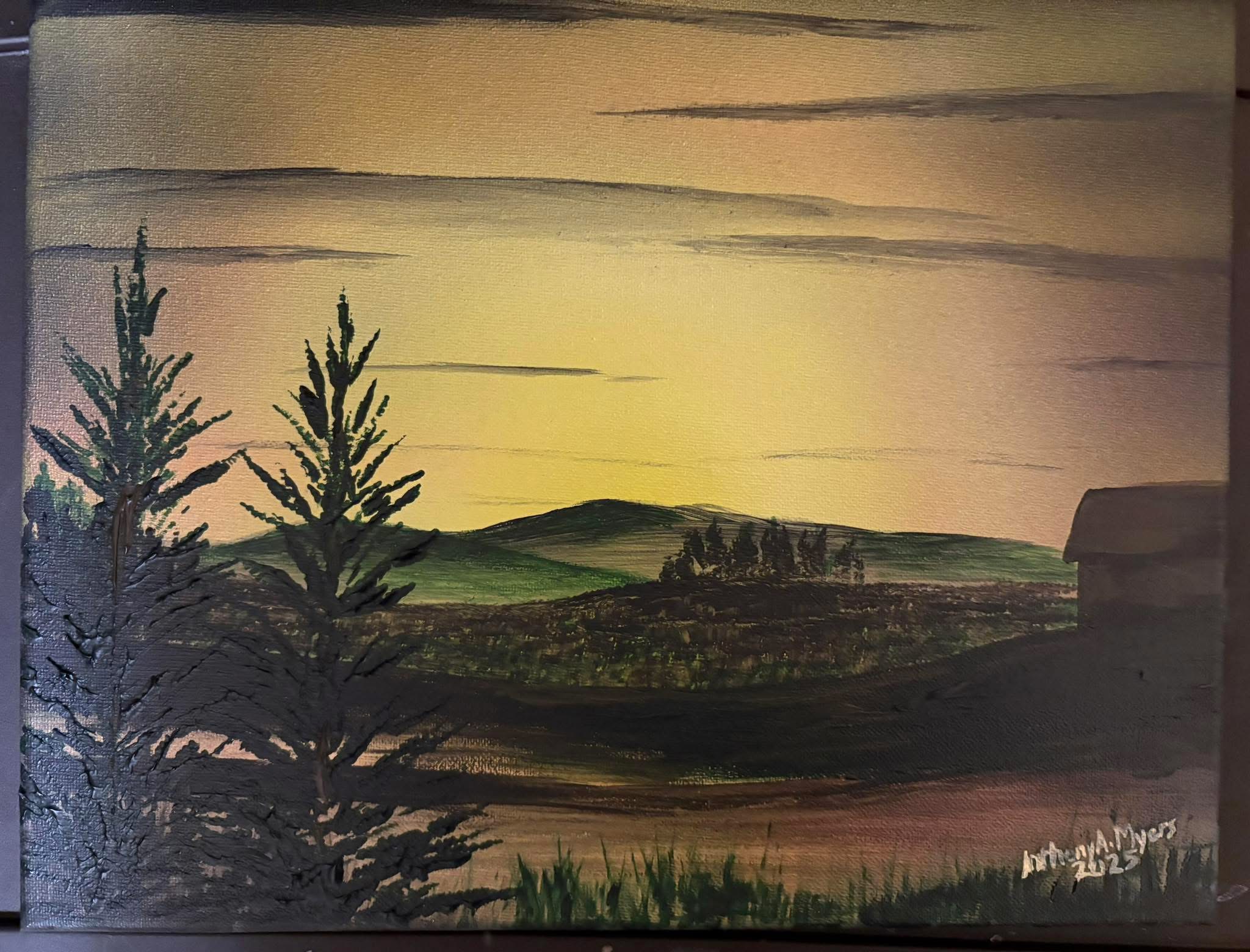 Sunset in the Pines
