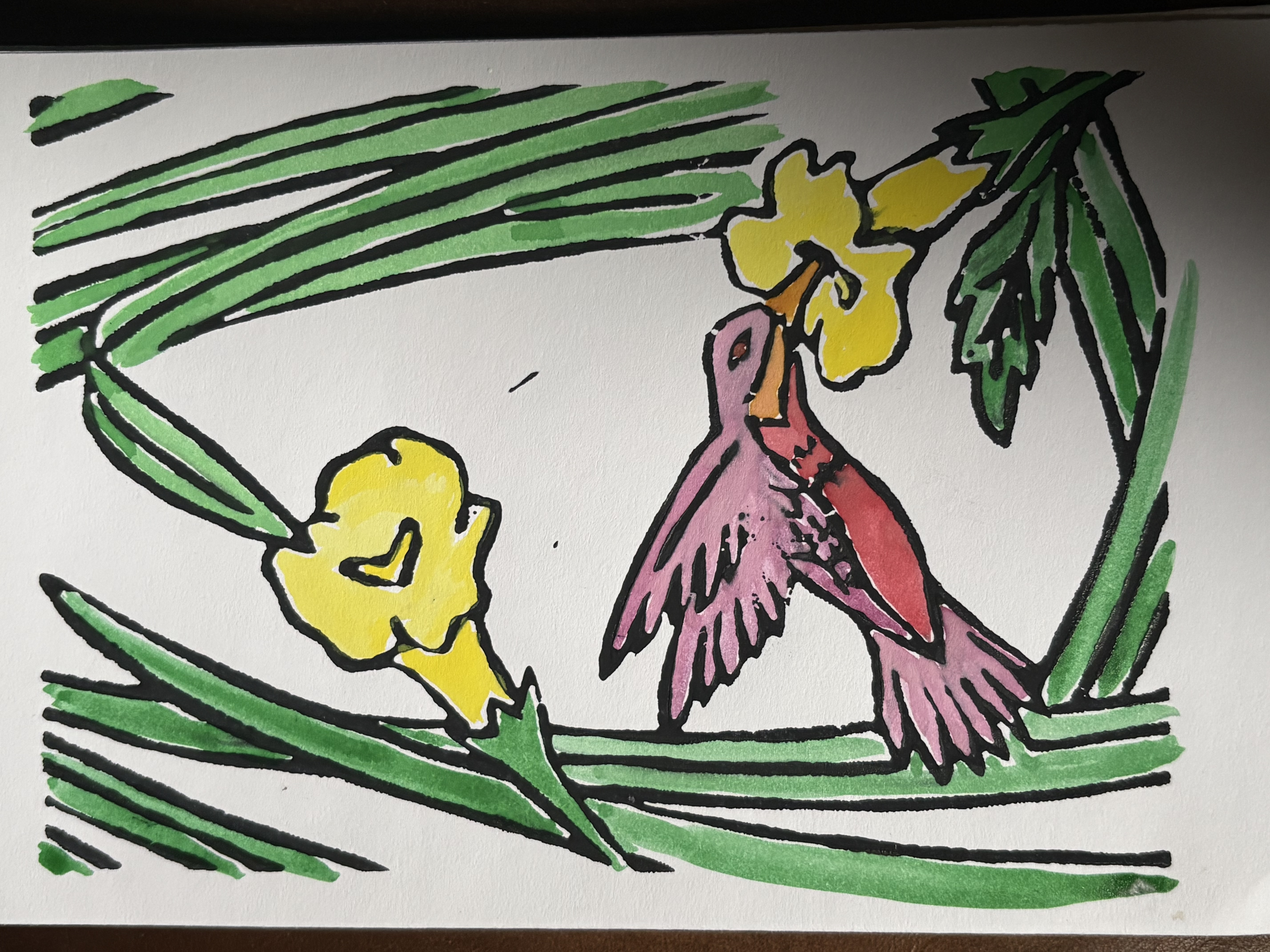 Pink Hummingbird Garden Card